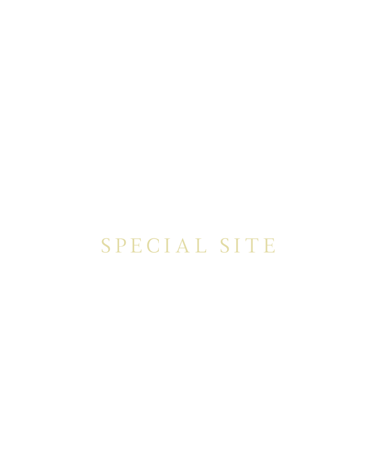 SPECIAL SITE